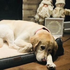 Meet your Posher, Tina